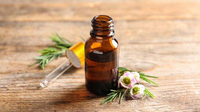 Tea Tree Oil: Antifungal and Antibacterial Uses – Benefits, Applications, and Scientific Backing