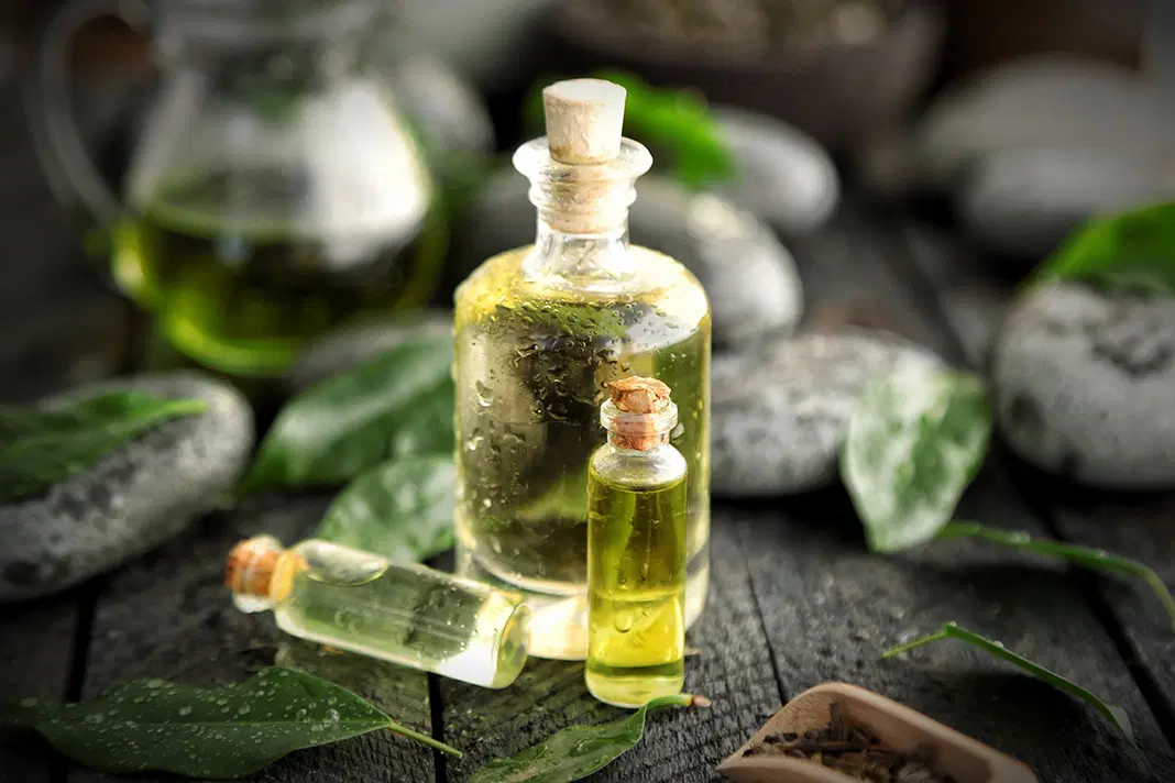 Tea Tree Oil in Oral Care: Benefits, Uses, and Scientific Evidence